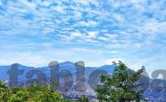 开云官网下载-开云官网下载解析