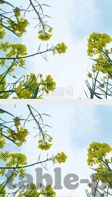 首页足球比分-从首页足球比分到深度观赛体验，解锁足球迷的数字时代新玩法